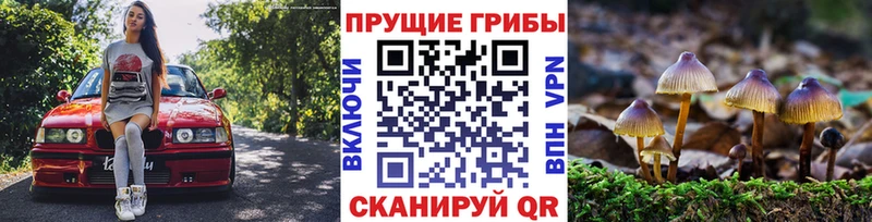 Галлюциногенные грибы Cubensis  цена   Галич 